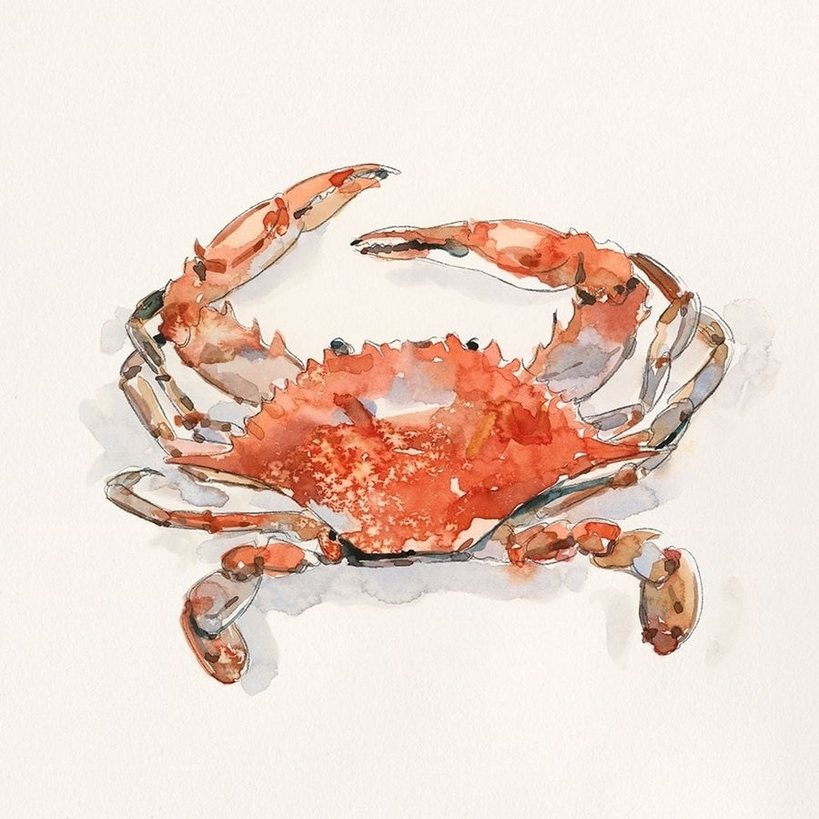 Crusty Crab II Poster Print - Emma Caroline-VARPDX178917Z Image 1