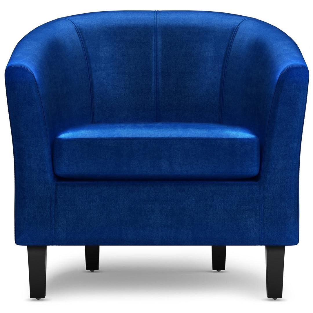 Austin Accent Chair in Velvet Image 3