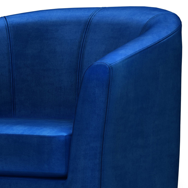 Austin Accent Chair in Velvet Image 7