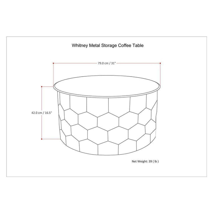 Whitney Metal Storage Coffee Table Image 9