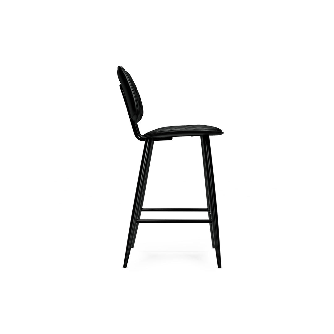 Raya Counter Height Stool (Set of 2) Image 7