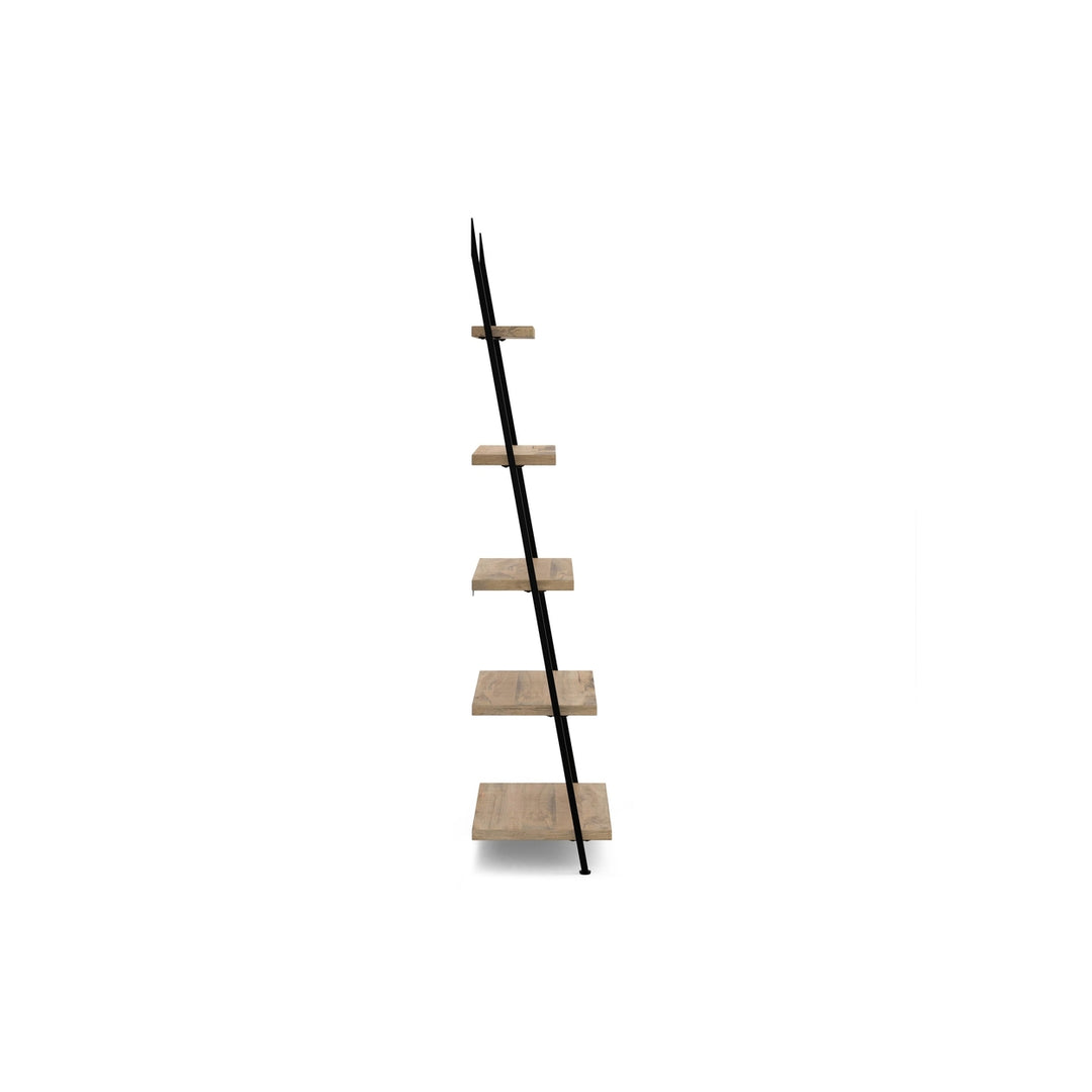 Trent Ladder Shelf Image 3