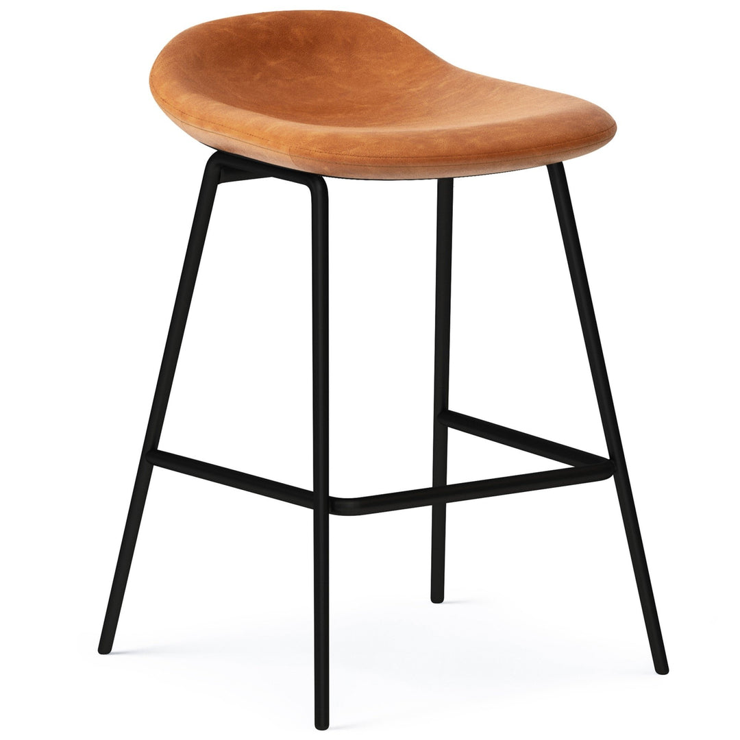 Dafney Counter Height Stool (Set of 2) Image 11