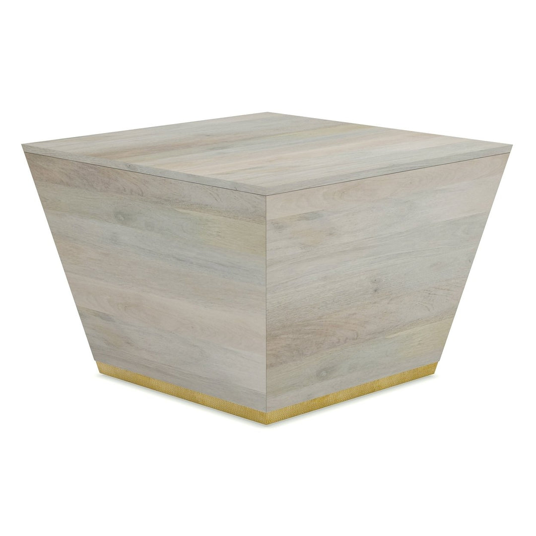 Abba Square Coffee Table Mango Solid Wood Geometric Brass Trim Modern Design Image 1