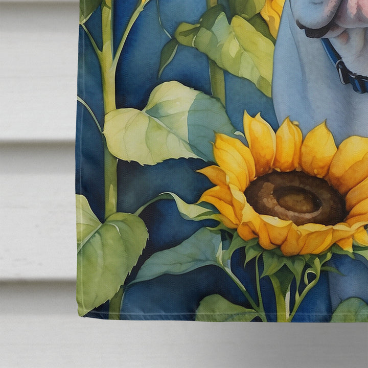 American Bulldog in Sunflowers House Flag Image 4