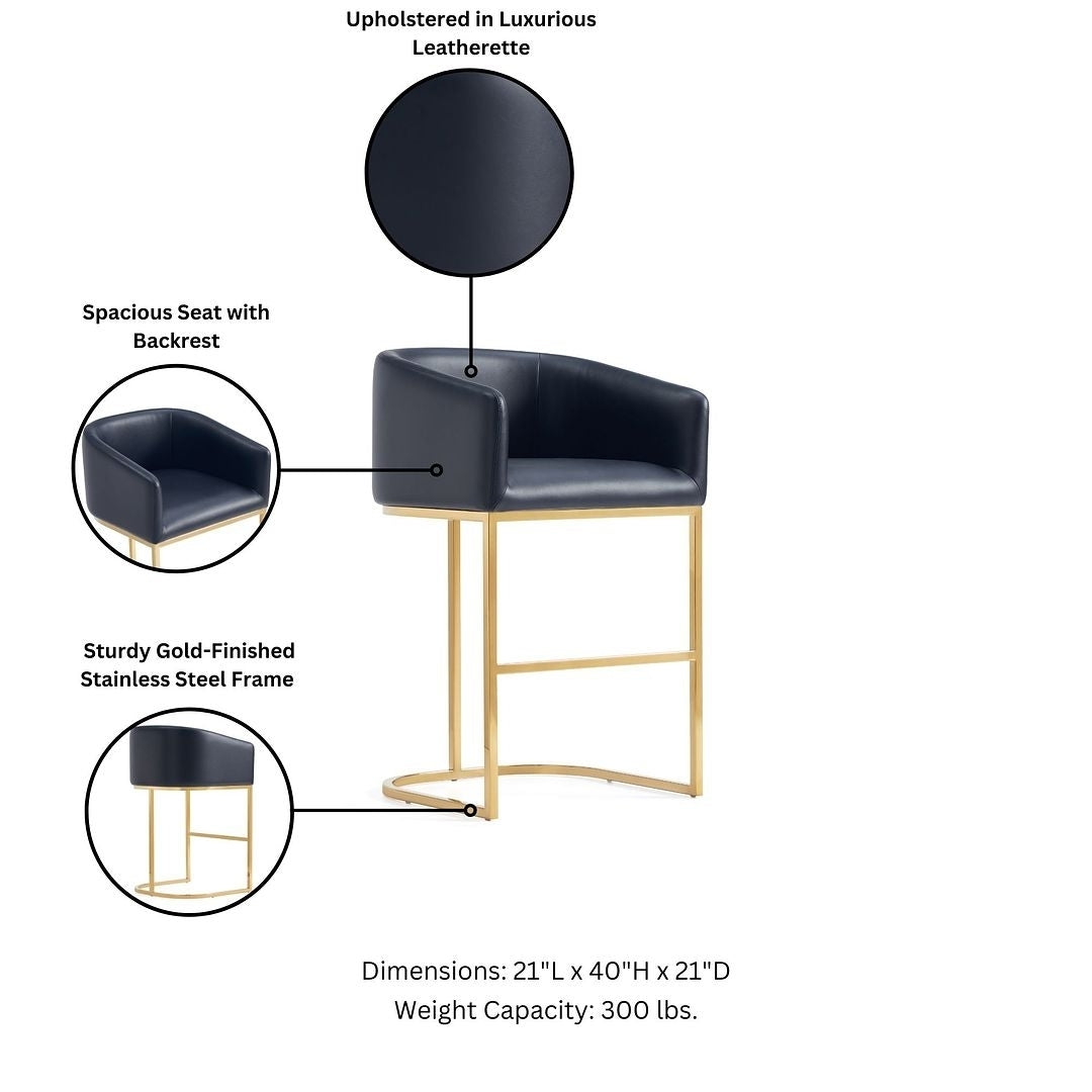 Louvre Mid-Century Modern Leatherette Upholstered Barstool in Black and Titanium Gold Image 4