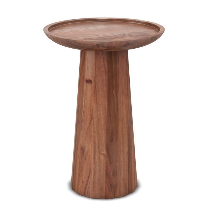 Dayton Accent Table Mango Wood 12.6" Modern Side End Table Fully Assembled Image 1