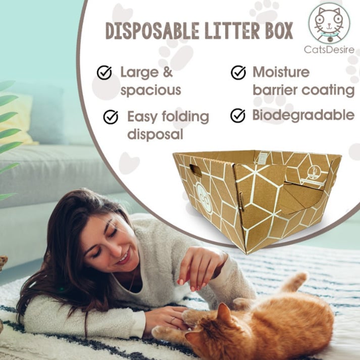 Cats Desire Biodegradable Extra Large Disposable Litter Boxes 10 Pack 19x17 inches Image 1