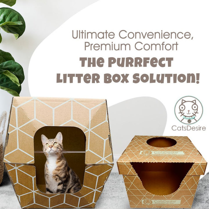 Cats Desire Biodegradable Top-Side Entry Litter Box 17x17 15in Moisture Barrier Image 10