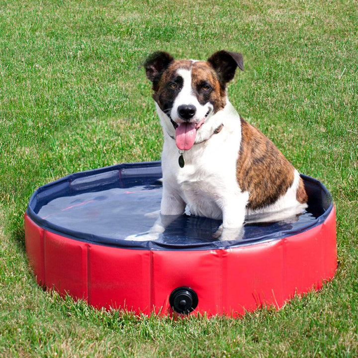 16030cm PVC Pet Bath Pool Dog Cat Animal Bath Washing Tub Folding Portable Swimming Pool Image 6