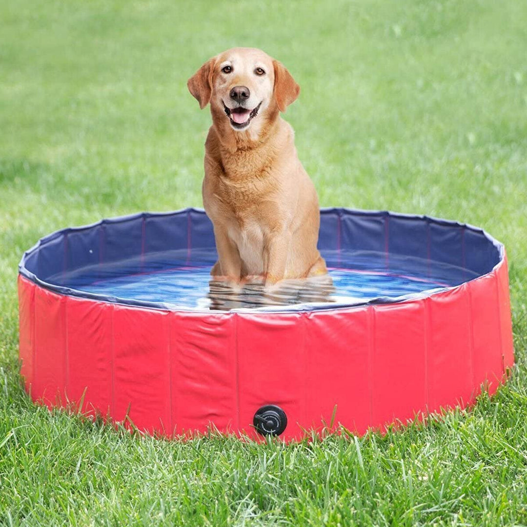 16030cm PVC Pet Bath Pool Dog Cat Animal Bath Washing Tub Folding Portable Swimming Pool Image 7