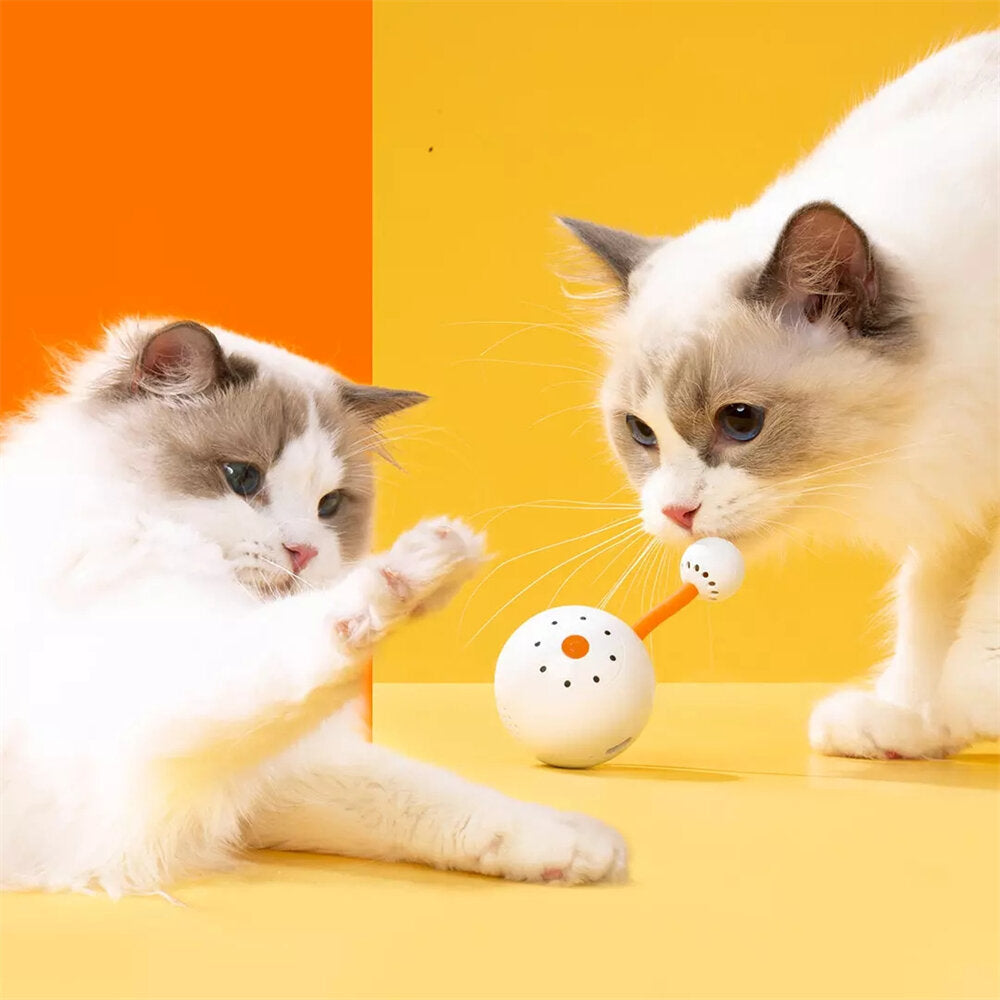 Interactive Cat LED Rolling Ball USB Rechargeable Electric Self Rotating LED Ball with Small Tail Storage Box Image 5