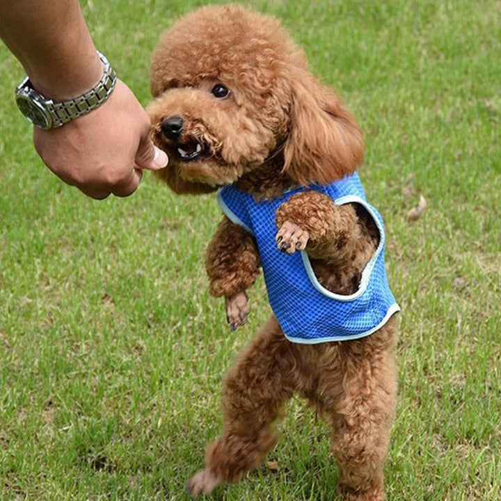 Jacket Coat Vest T-shirt Clothes Clothing For Dog Cat Puppy Pet Vest Image 2