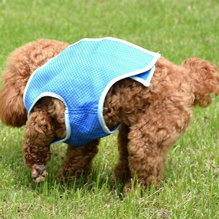 Jacket Coat Vest T-shirt Clothes Clothing For Dog Cat Puppy Pet Vest Image 3