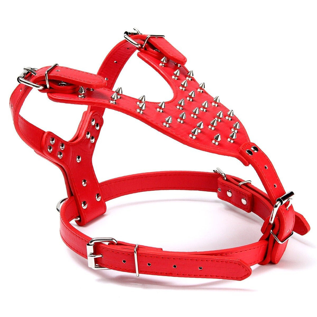 Leather Dog Harness Collar Leash Set Spiked Studded Staffy for Pet Security Image 1