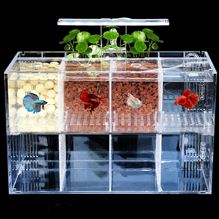 LED Light Acrylic Clear Aquarium Mini Betta Fish Tank Desktop Water Pump Image 3