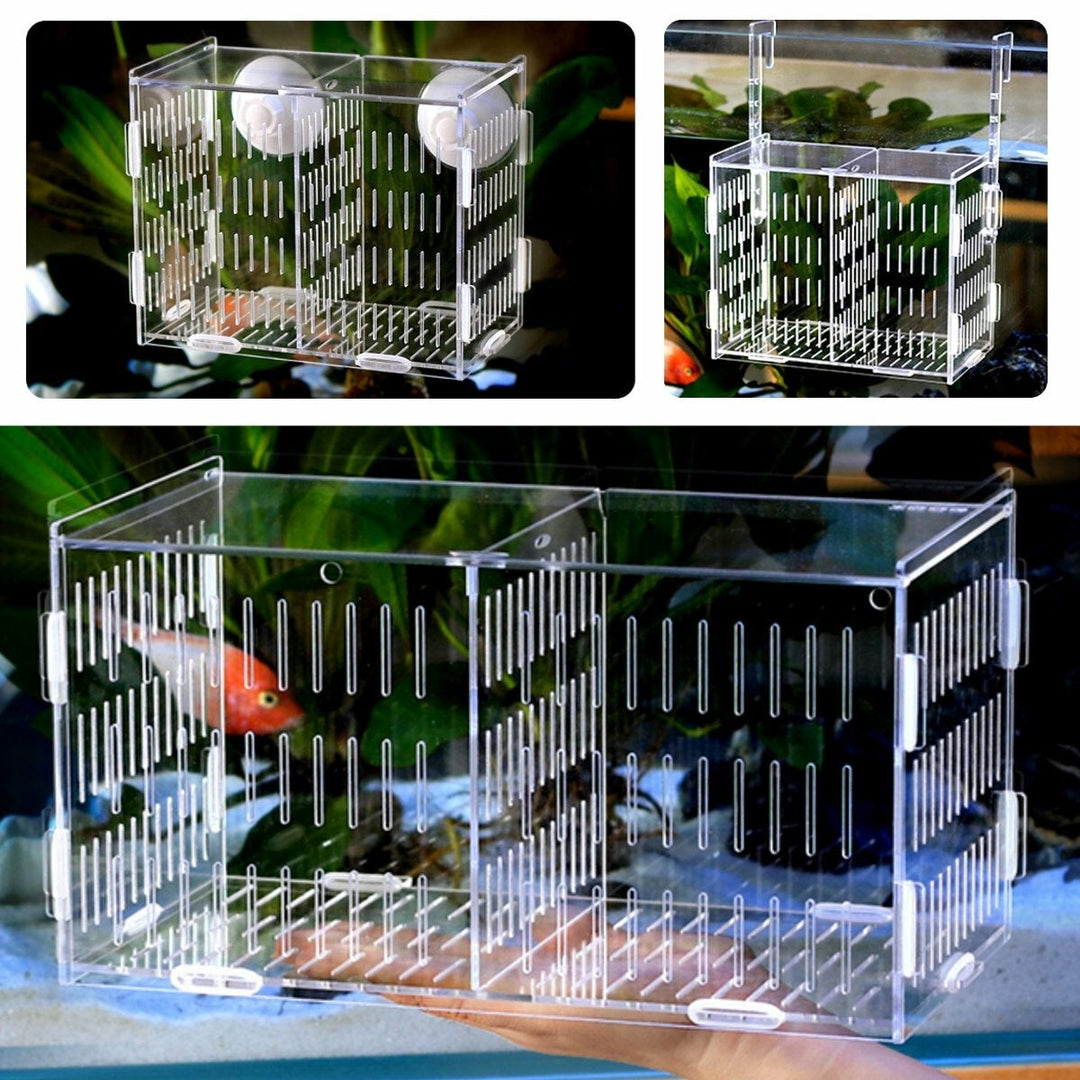 Large Aquarium Acrylic box isolation Incubator Breeding Fish Tank Breeder Hatching Image 1