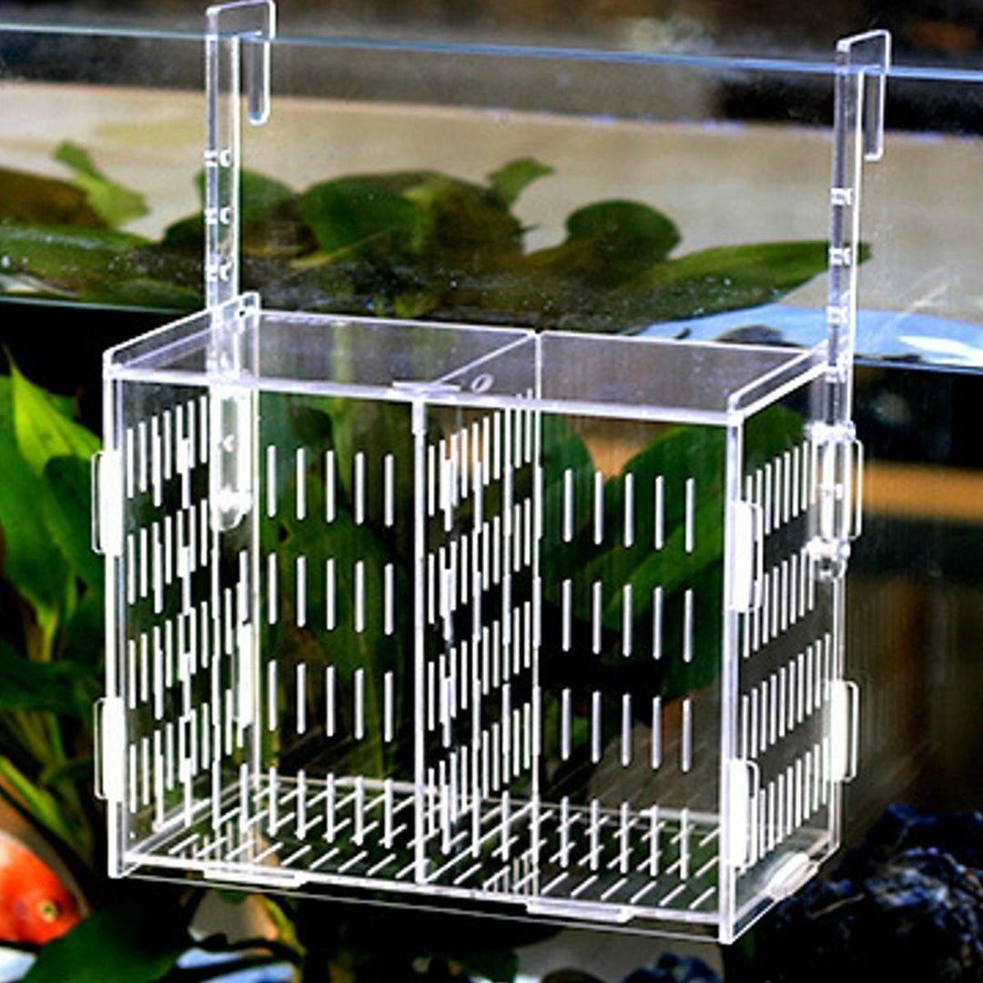 Large Aquarium Acrylic box isolation Incubator Breeding Fish Tank Breeder Hatching Image 7