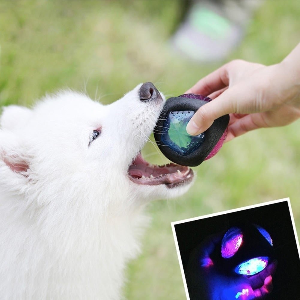 Luminous Dog Toy Durable Bouncy Balls Rubber Bouncy Dog Chewing Ball Dog Training Pet Toys Image 2