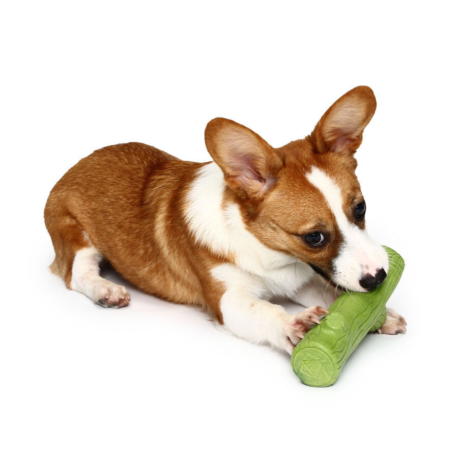 Lovely Branch Solid Molar Wearable Pet Toys Training dog Props Enhance the Intelligence Dog Toys Image 1