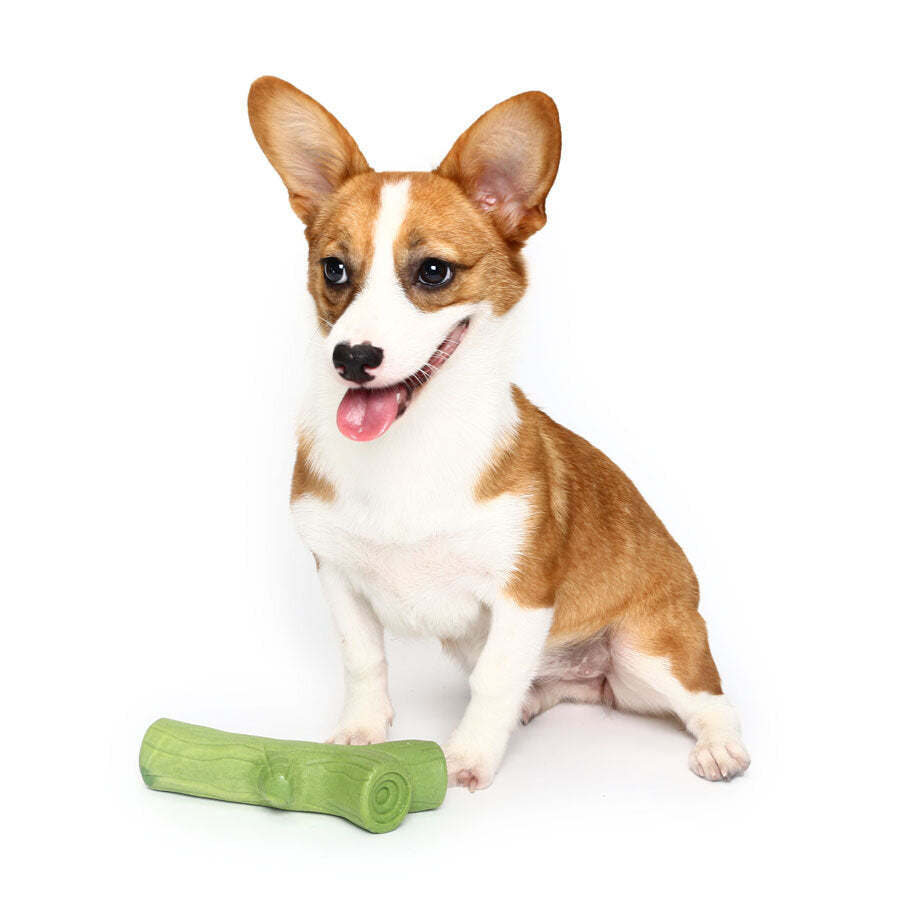 Lovely Branch Solid Molar Wearable Pet Toys Training dog Props Enhance the Intelligence Dog Toys Image 2