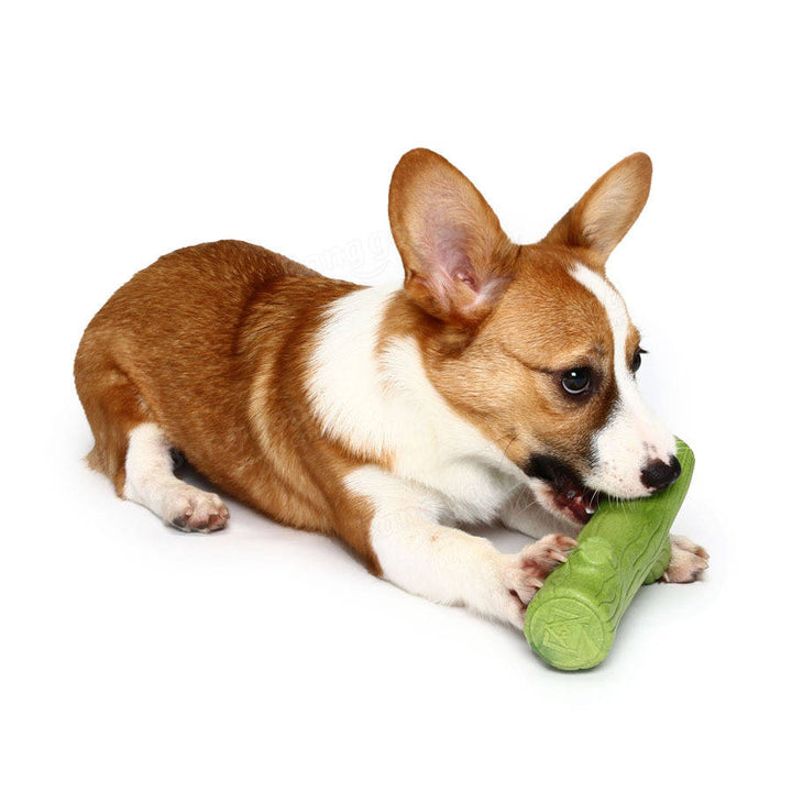 Lovely Branch Solid Molar Wearable Pet Toys Training dog Props Enhance the Intelligence Dog Toys Image 3