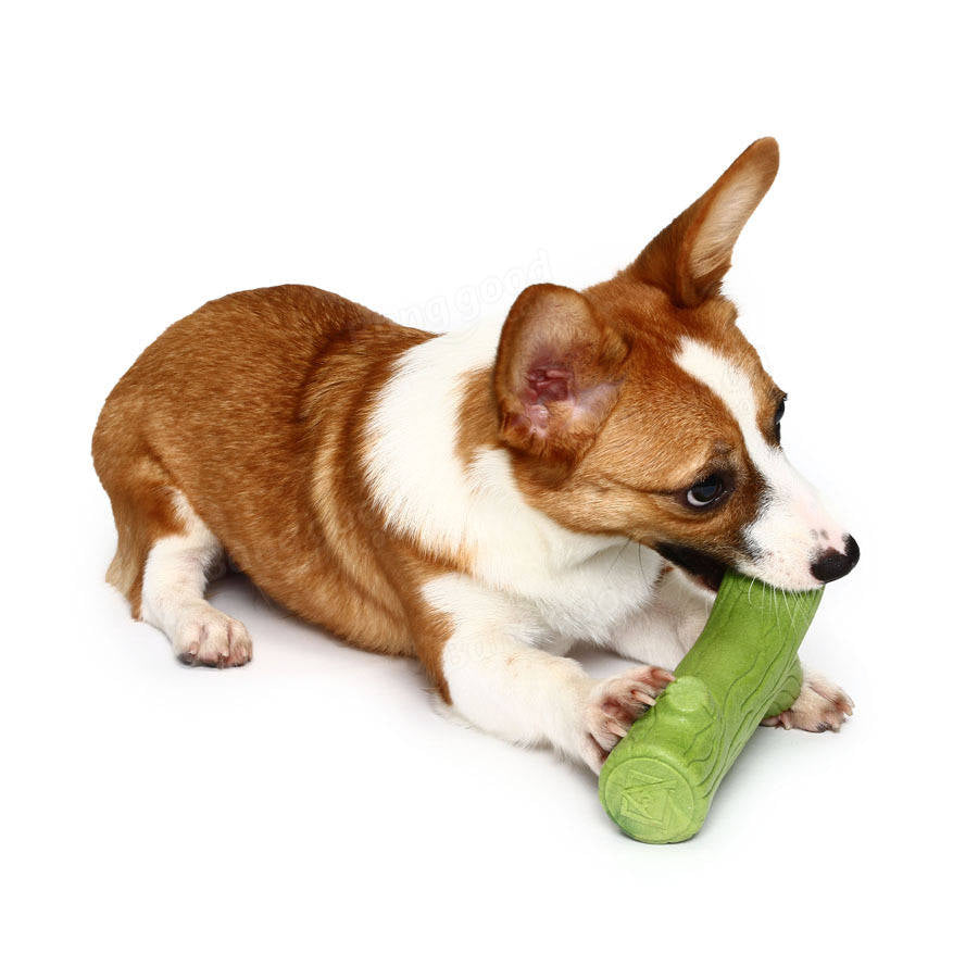 Lovely Branch Solid Molar Wearable Pet Toys Training dog Props Enhance the Intelligence Dog Toys Image 4