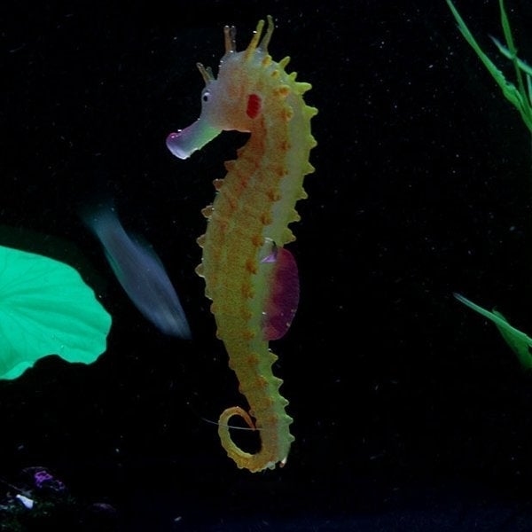 Luminous Artificial Simulated Hippocampus Environmentally Friendly Material Aquarium Fish Tank Decor Image 1