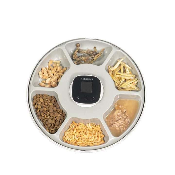 Meal Pet Feeder Smart Timing Cat Puppy Intelligent Dog Supplies Separable USB Automatic Dispenser Bowl Image 3