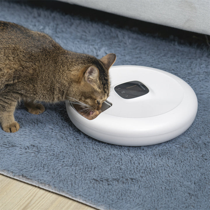 Meal Pet Feeder Smart Timing Cat Puppy Intelligent Dog Supplies Separable USB Automatic Dispenser Bowl Image 6