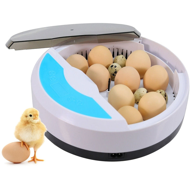 Mini Brooder Small Chicken Bird Egg Hatchers Incubator for Quail Parrot Duck Image 1