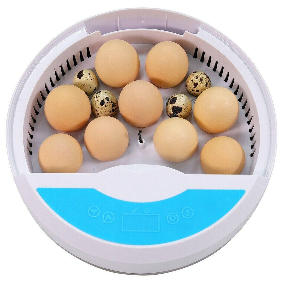 Mini Brooder Small Chicken Bird Egg Hatchers Incubator for Quail Parrot Duck Image 6