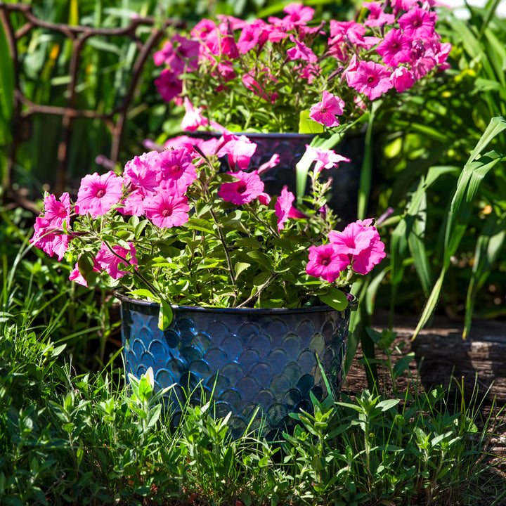 Sunnydaze Dinah Metal Planter - 12.5 in - Navy Glaze - Set of 2 Image 3