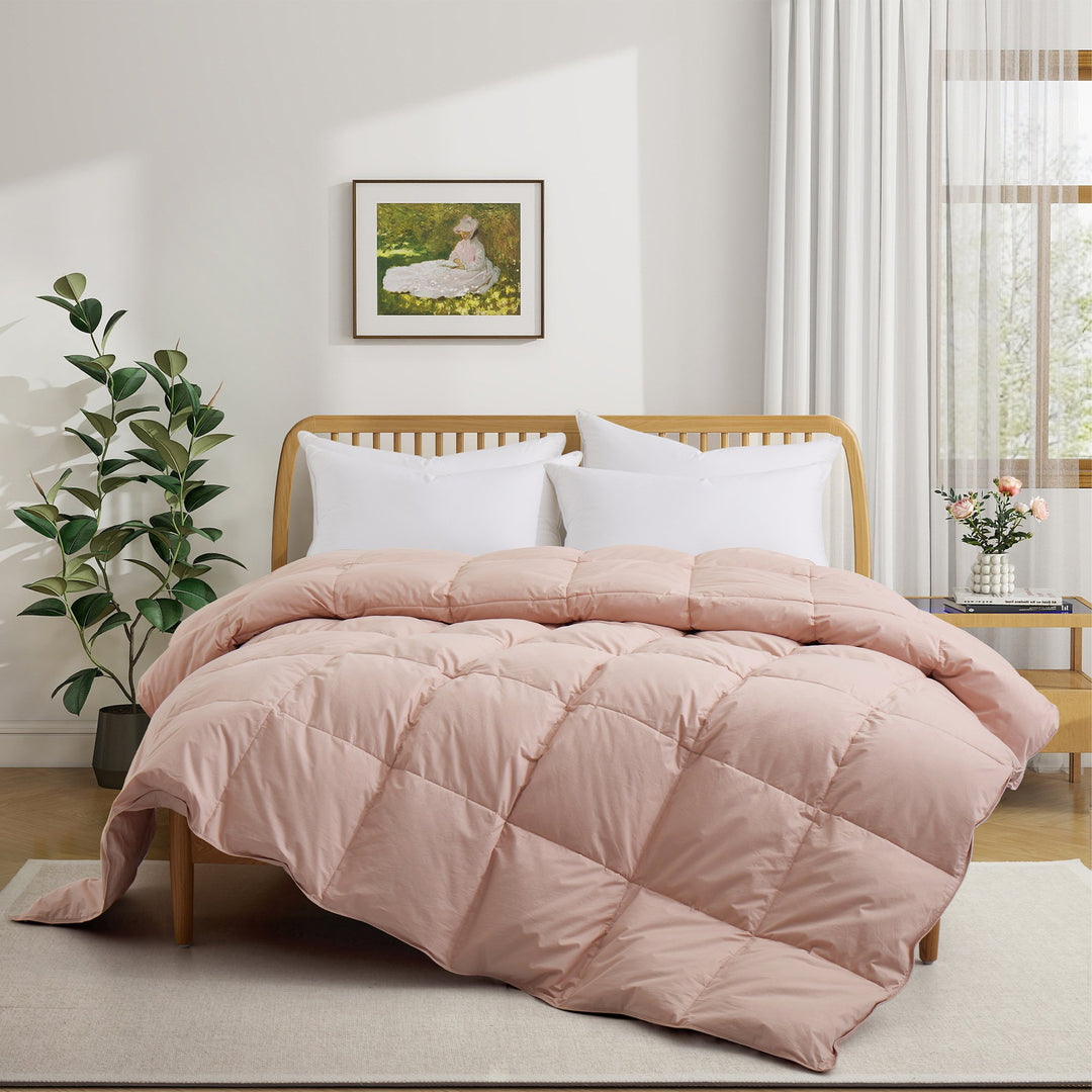 Ultimate Comfort All-Season Goose Down Feather Comforter in Organic Cotton Image 1