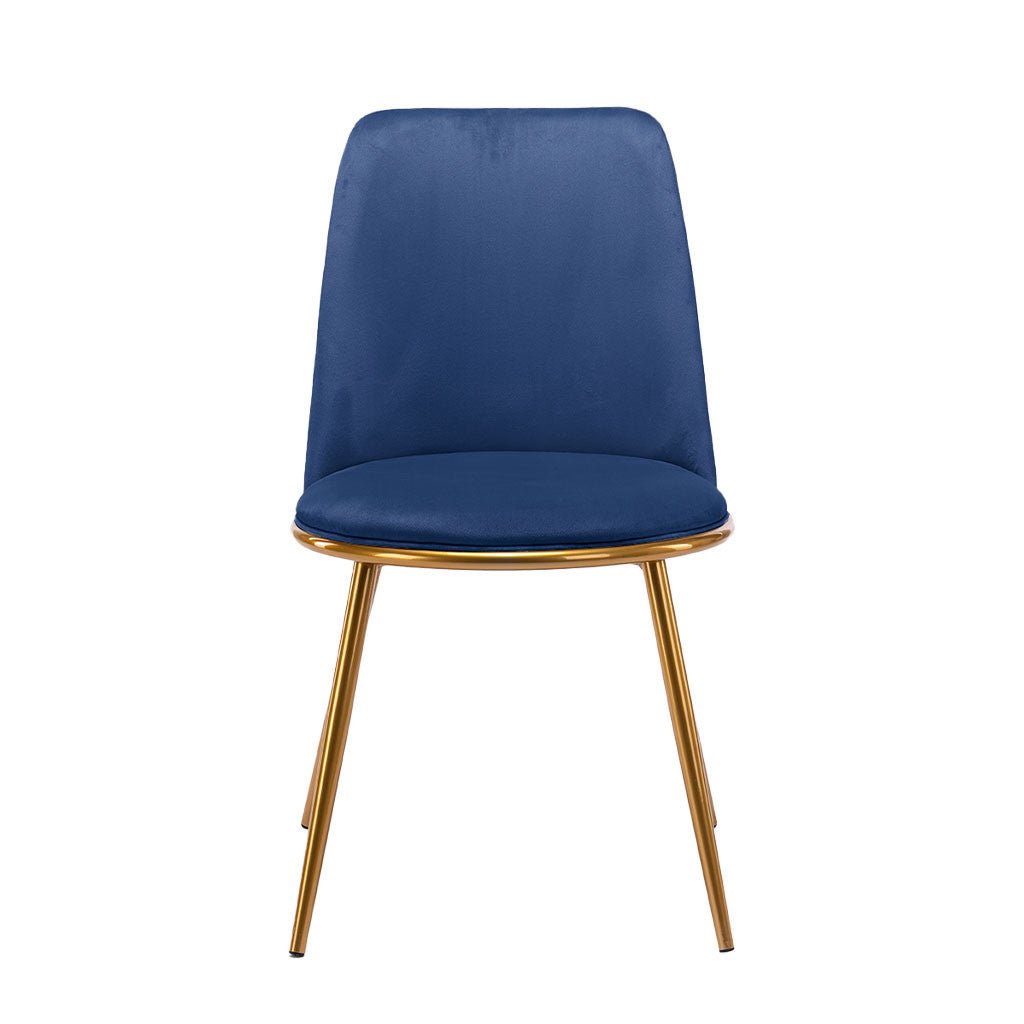 Blue And Gold Velvet and Metal Dining Side Chair Image 8