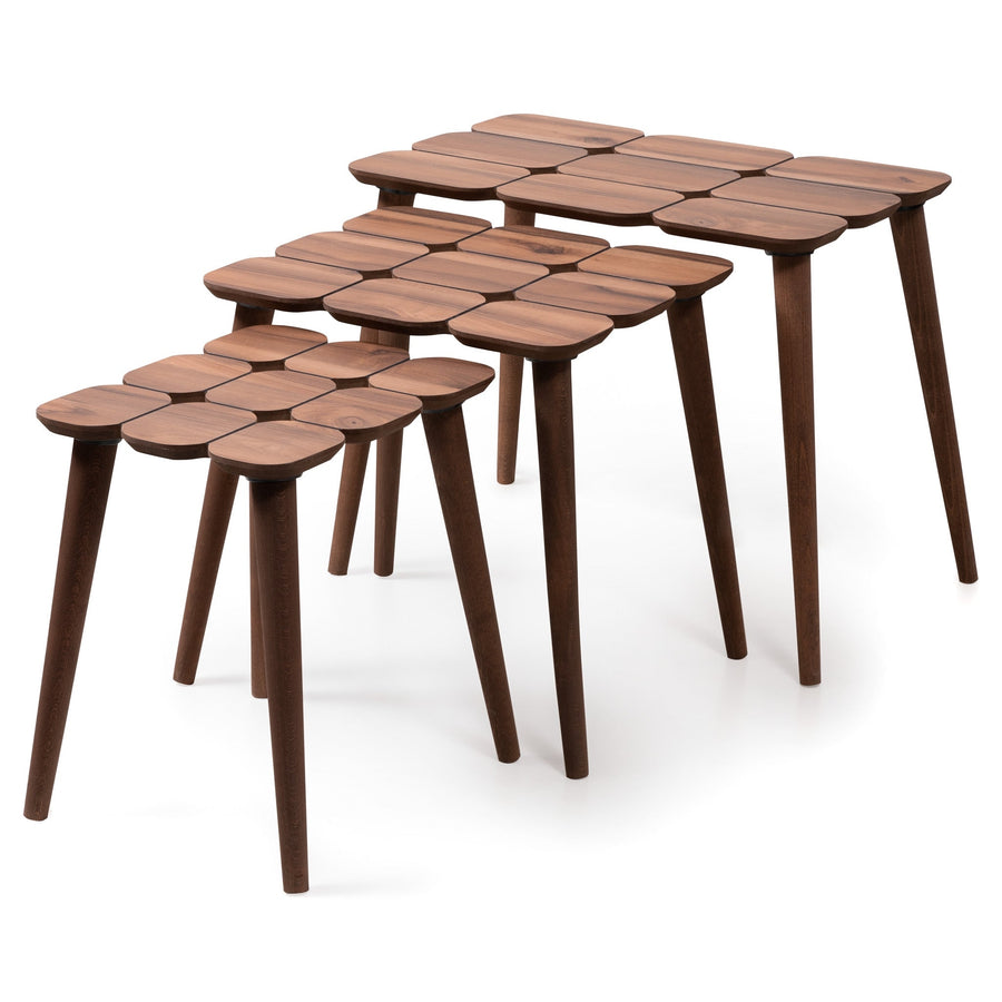 Hilson Walnut Nesting Table Image 1