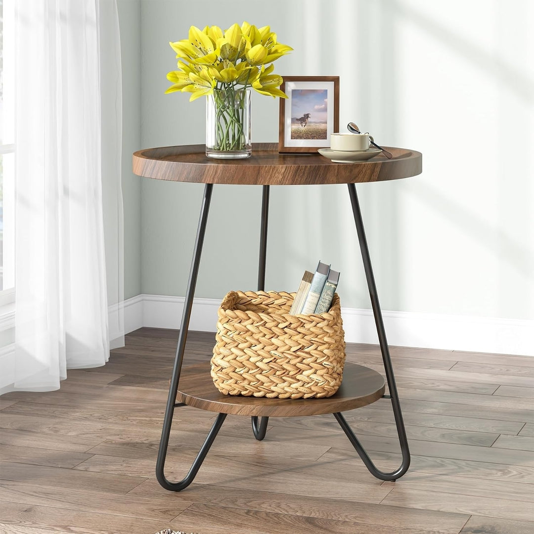 Tribesigns Round Side Table 20 Inch 2-Tier Modern Industrial Black Metal Wood Image 1