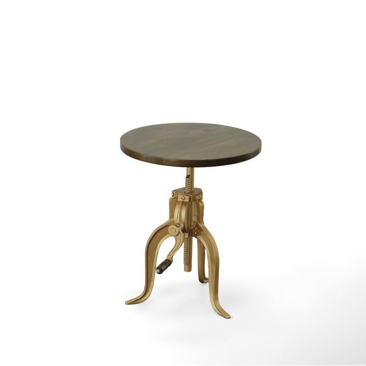 19" Gold And Elm Solid Wood Round End Table Image 1