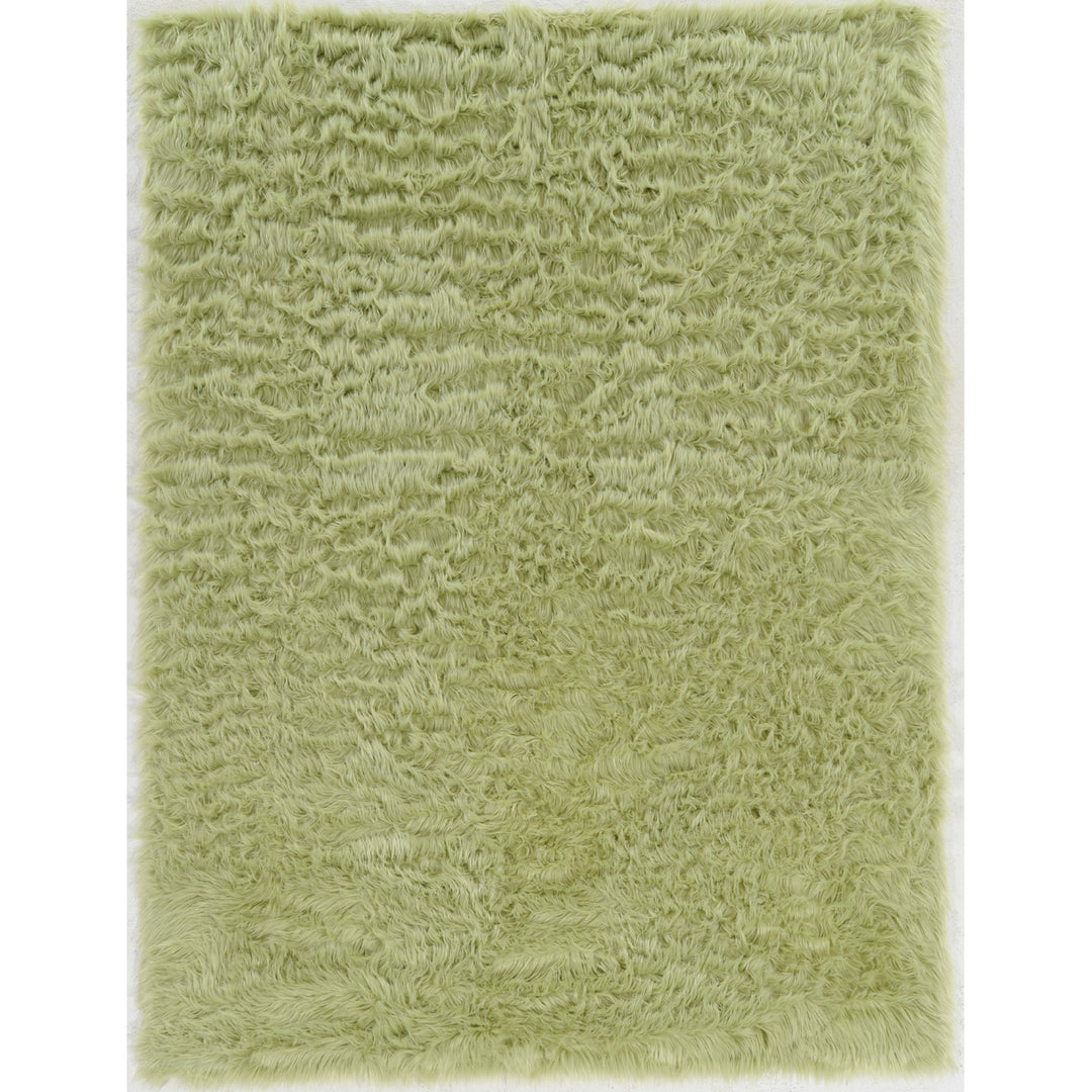 Faux Sheepskin - Green (3 x 5) Image 1