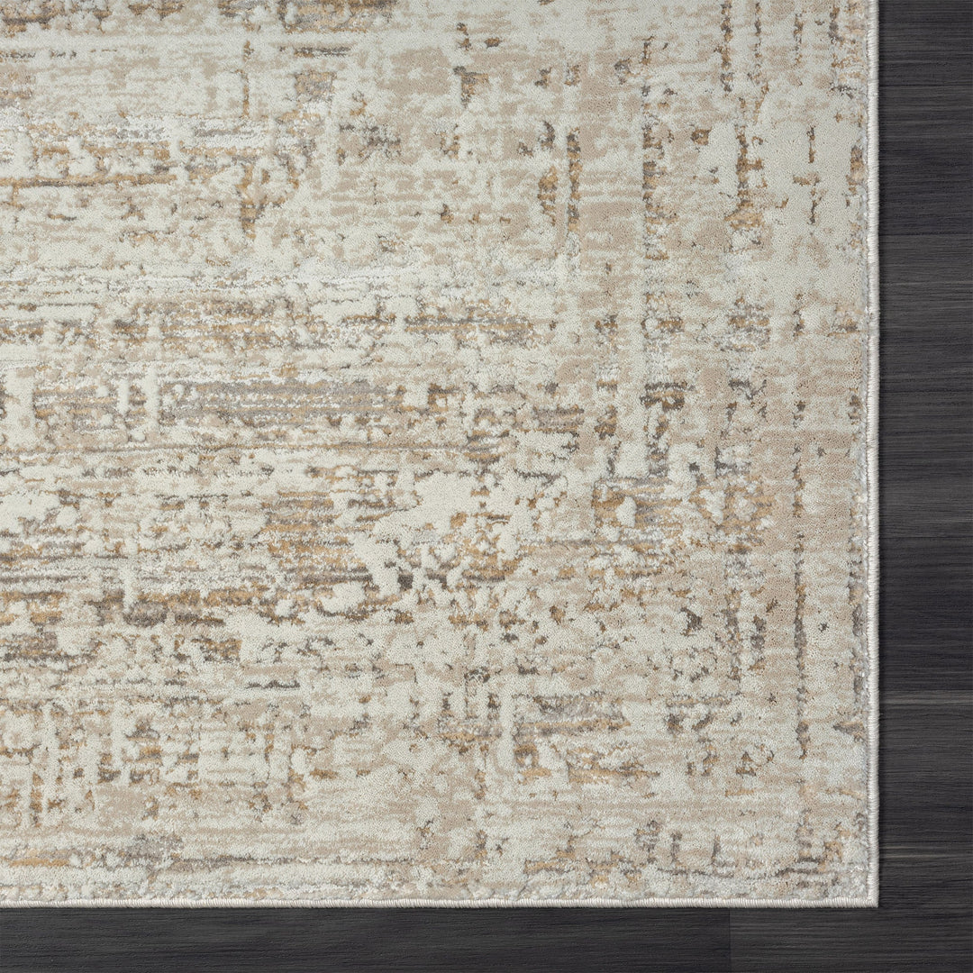 2 X 3 Beige Abstract Distressed Area Rug Image 8