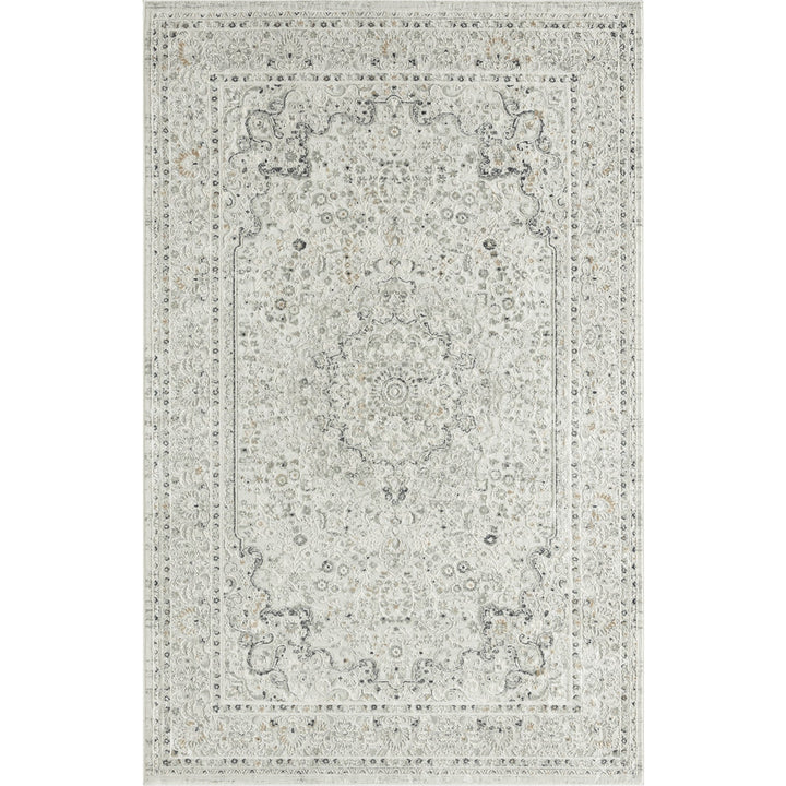 4 X 6 Ivory and Gray Floral Medallion Stain Resistant Area Rug Image 1