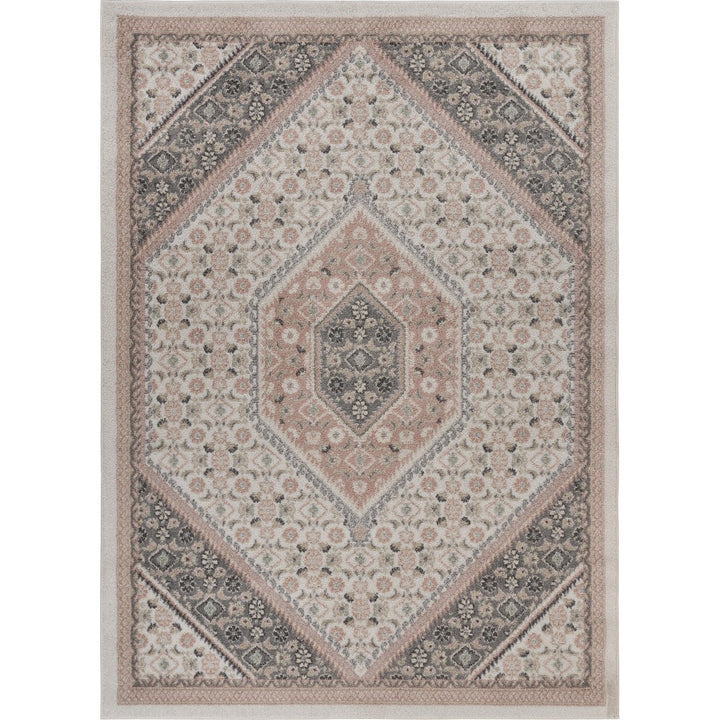 5 x 7 Gray and Blush Traditional Area Rug Image 11