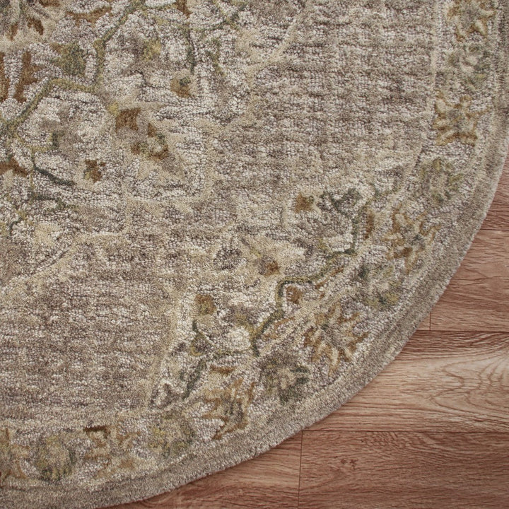 6 Round Beige Distressed Medallion Area Rug Image 6