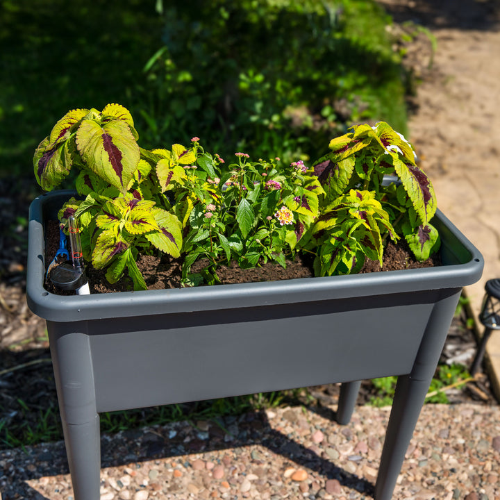 Sunnydaze Self-Watering Raised Garden Bed with Cloche Cover Image 4