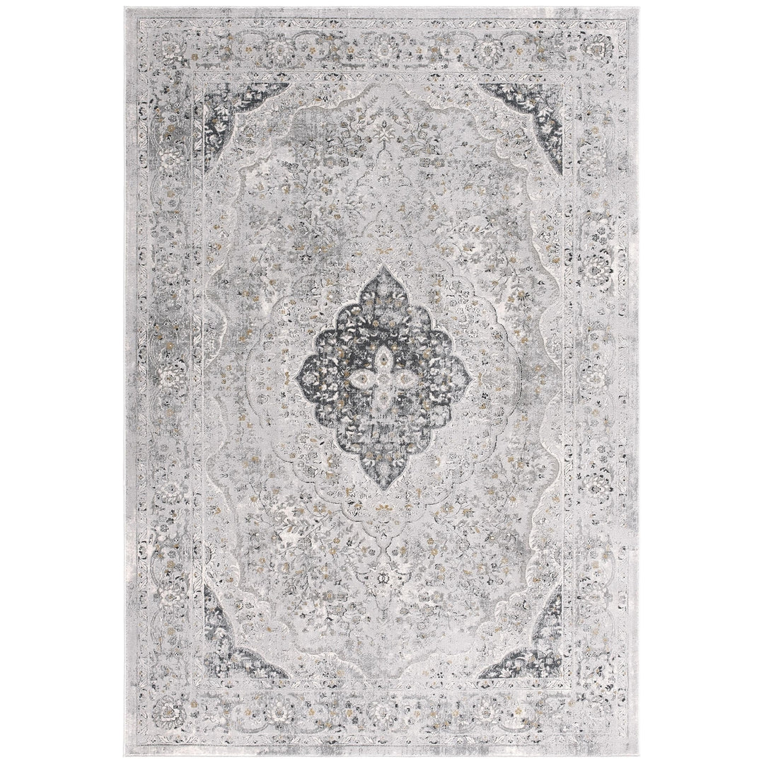 4 X 6 Grey Oriental Area Rug Image 1