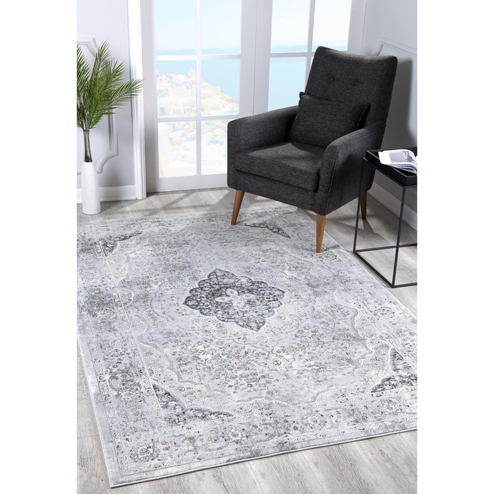 4 X 6 Grey Oriental Area Rug Image 3