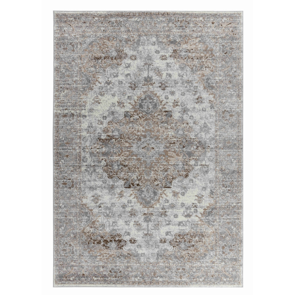 4 X 6 Brown Oriental Area Rug Image 2