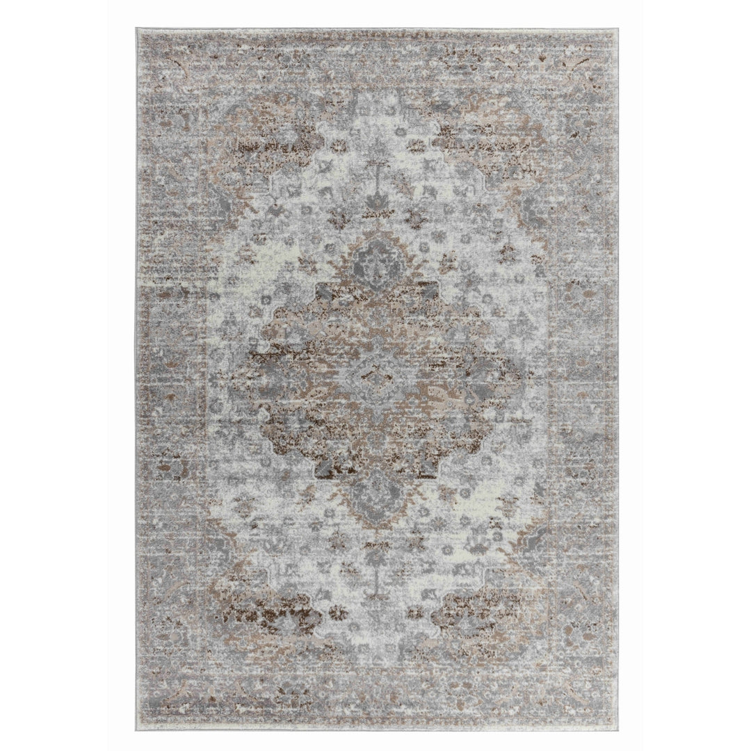 4 X 6 Brown Oriental Area Rug Image 2