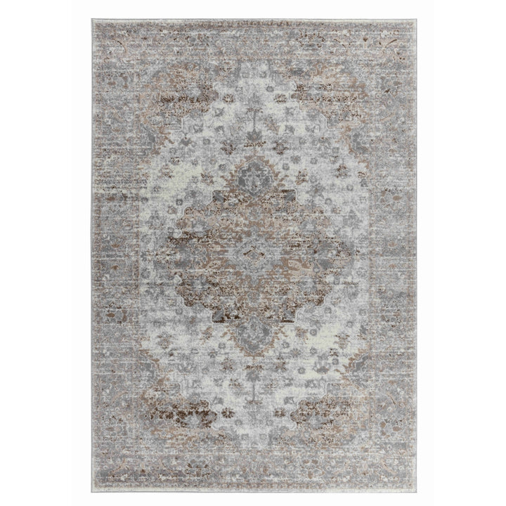 4 X 6 Brown Oriental Area Rug Image 2