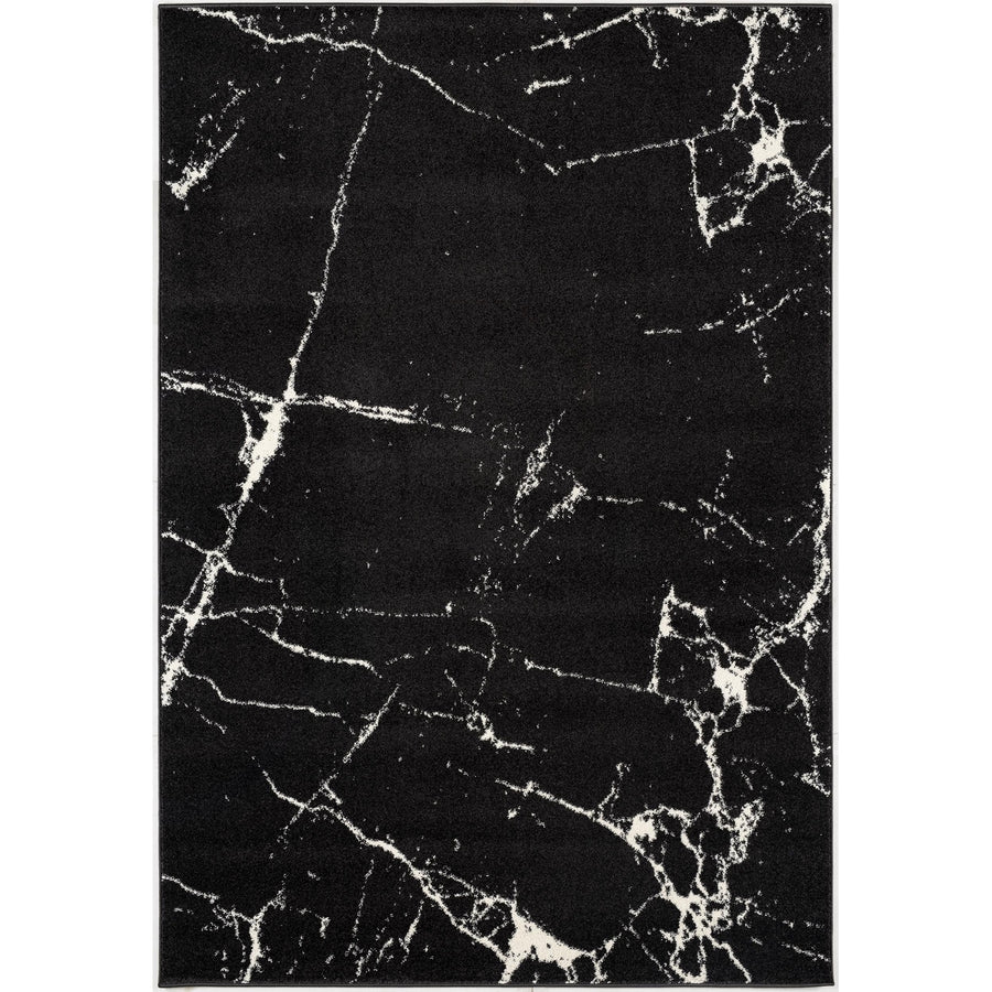 4 X 6 Black And White Abstract Breakage Area Rug Image 1